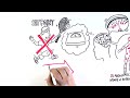 Videos 4 Time to act on obesity: why is it so difficult to lose weight?