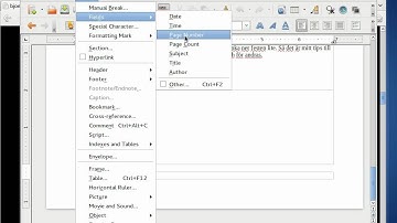 HOWTO: Insert page numbers in LibreOffice