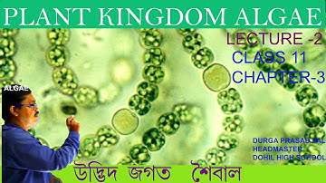 শৈবাল|/Algae Bengali/plant kingdom classification algae bangla/biology ncert class 11 ch 3 bengali