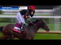 Is INCREDIBOLT Ready For the Preakness Stakes
