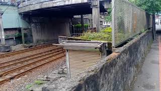 411次經由北迴線開往樹林的TEMU2035+TEMU2036原裝普悠瑪號原裝普猴