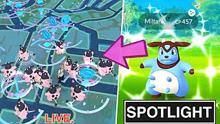 Shiny Miltank Catching In Spotlight Hour Pokemon go