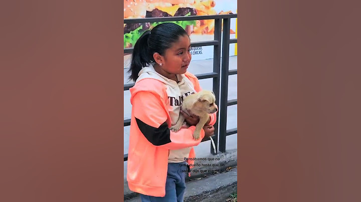 Mi hermana quería adoptar un perrito de la calle y esto paso 🤣😢🐕 #hermanos #perros #risas #niñas