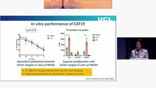 UCL CAR T Cell Programme   focus on CD19