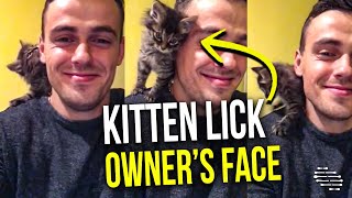 Kitten Loves to Lick Owner’s Face as It Stands on His Shoulder