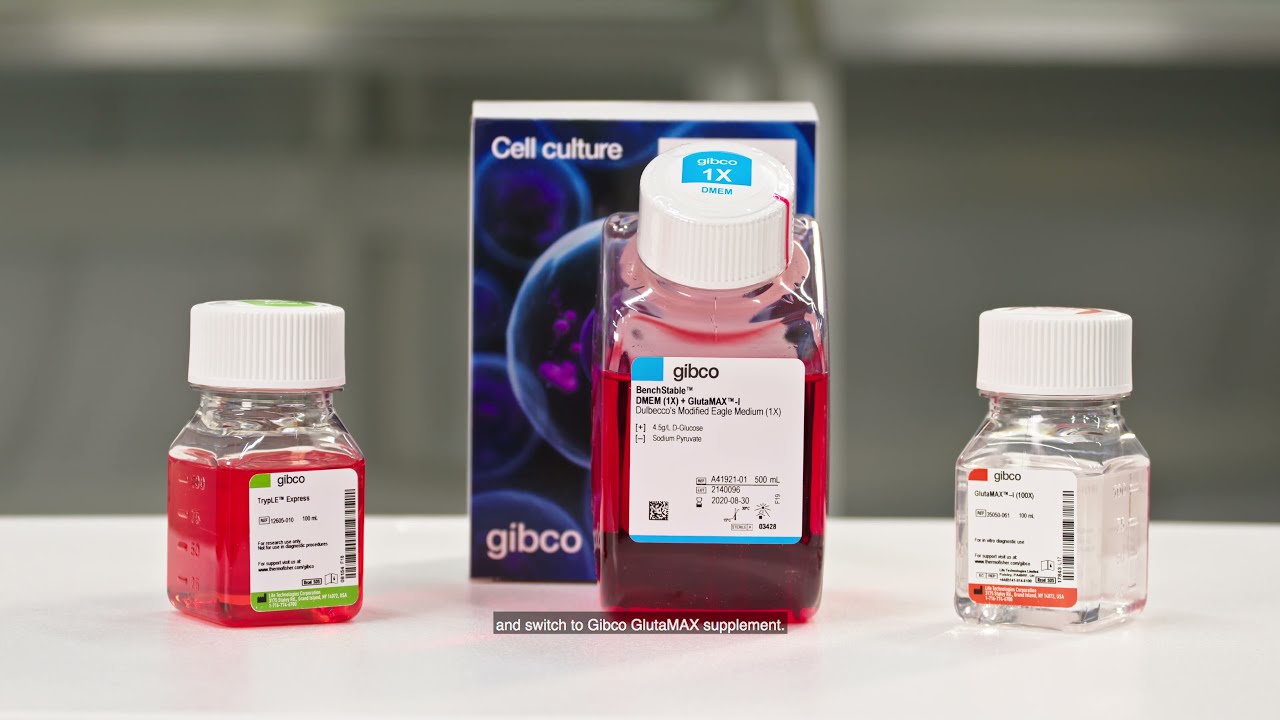 glutathione for lung cancer Involvement of glutathione peroxidases in the occurrence and development of  breast cancers | Journal of Translational Medicine