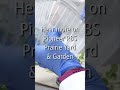 A potato greenhouse?! Learn about the start of Valley Tissue Culture