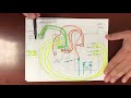 Tca1006d Wiring Diagram