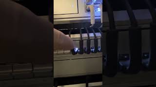 IMG 1237