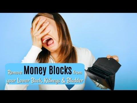 Money Karma x Lower Back Pain | Remove Money Blocks In Your Kidneys x Bladder