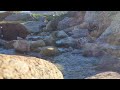 Peaceful Ocean Flowing Waters
