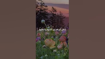 🌸القران_الكريم🌸# ماهرالمعيقلي #تلاوة_خاشعة#صوت_جميل #رح_سمعك #اكسبلور # #quran #viral #fyp