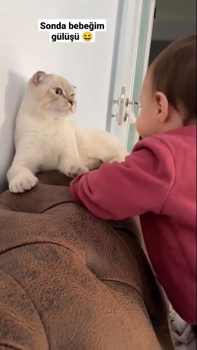 ezgi mola göğüs