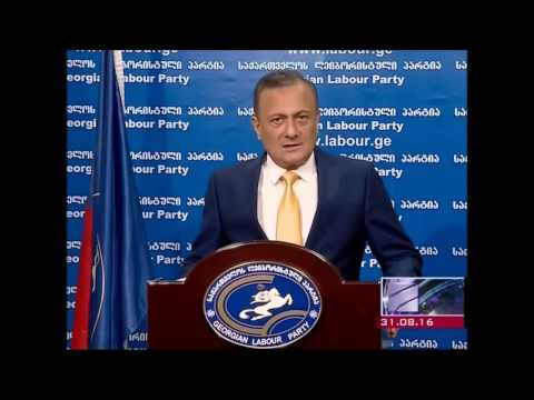 ლეიბორისტები ევროპარლამენტის   ვიცე-პრეზიდენტის საქართველოში ვიზიტს ეხმაურებიან