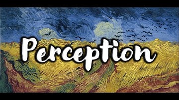 Perception - Features & the Binding Problem | Cognitive Psychology