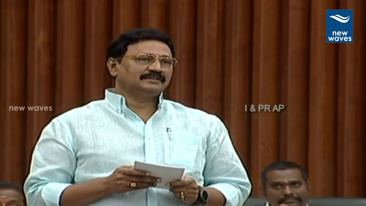 TDP Leader Gadde Rammohan Speech | AP Assembly Budget Session 2019  | New Waves