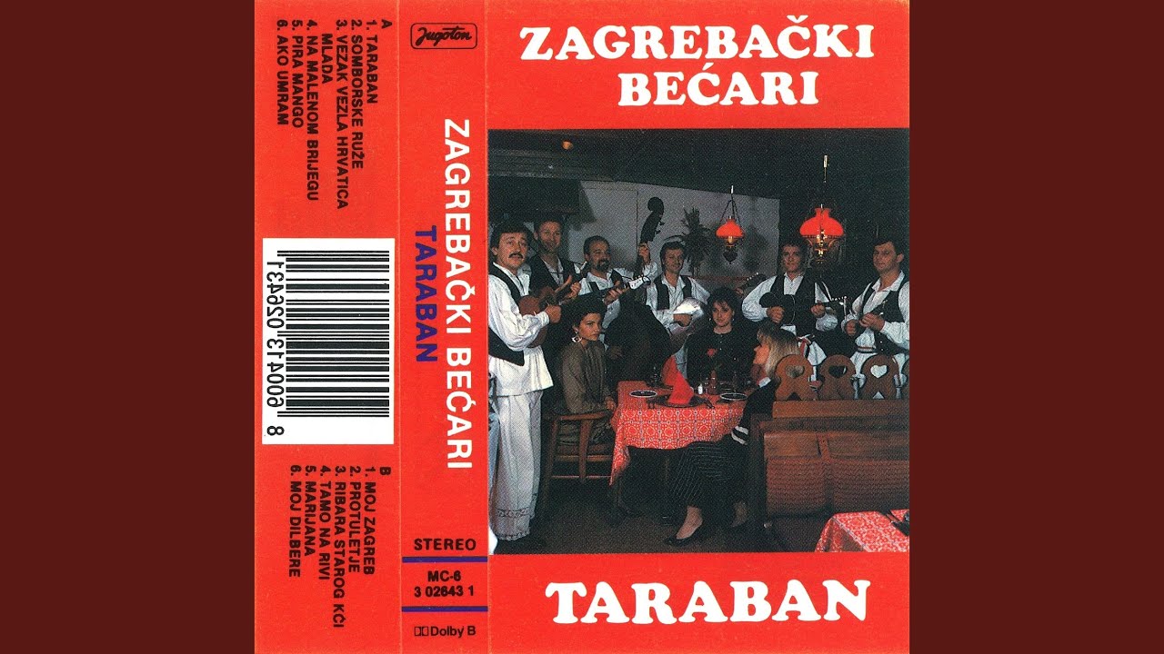 Vezak Vezla Hrvatica Mlada