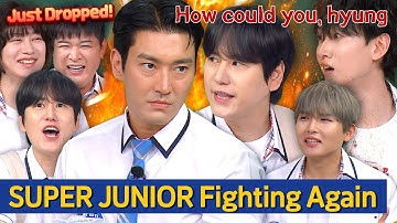 Fists Before Words 💢💢SUPER JUNIOR Fight Stories Again 🔥🔥