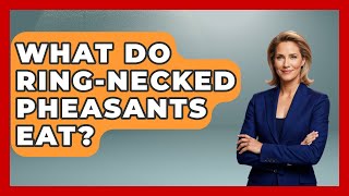 What Do Ring-Necked Pheasants Eat? - Bird Watching Diaries