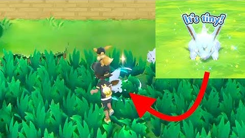 Satisfying Shiny Nidoran Encounter! Pokémon Let