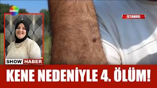 Kene kabusu yeniden başladı!