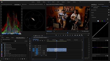 Premiere Pro Tutorial - Paste and Remove Attributes