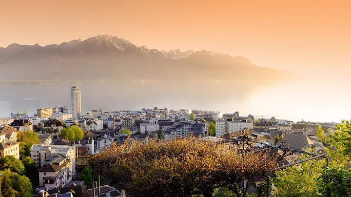 Montreux outro song. (TheFatRat - Xenogenesis + Back one day)