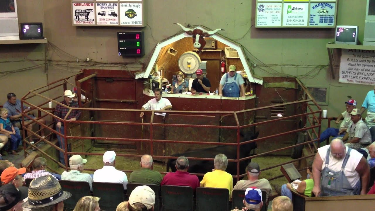 Sand Mountain Stockyard Inc. YouTube