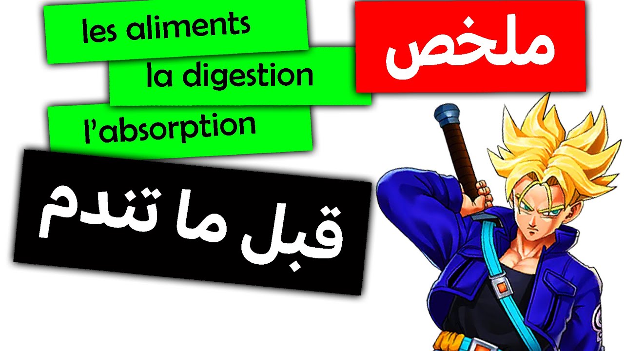 Résumé - les aliments la digestion et l'absorption - 3ac (cours complet)