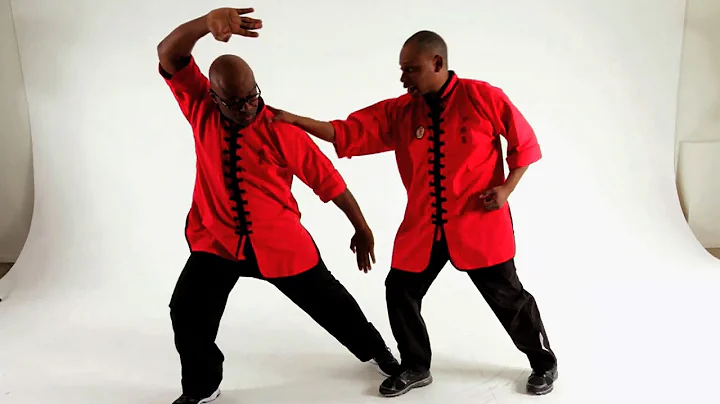 7 Great 18 Hand 2 Man Set Moves | Shaolin Kung Fu