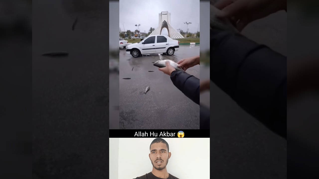 Allah ka 🌙🕋🇦🇪👍☝️#muhammadﷺ #duet #allah ❤️🥰🥀👍☝️#youtubeshorts #trending #islamicpost #shortsfeed