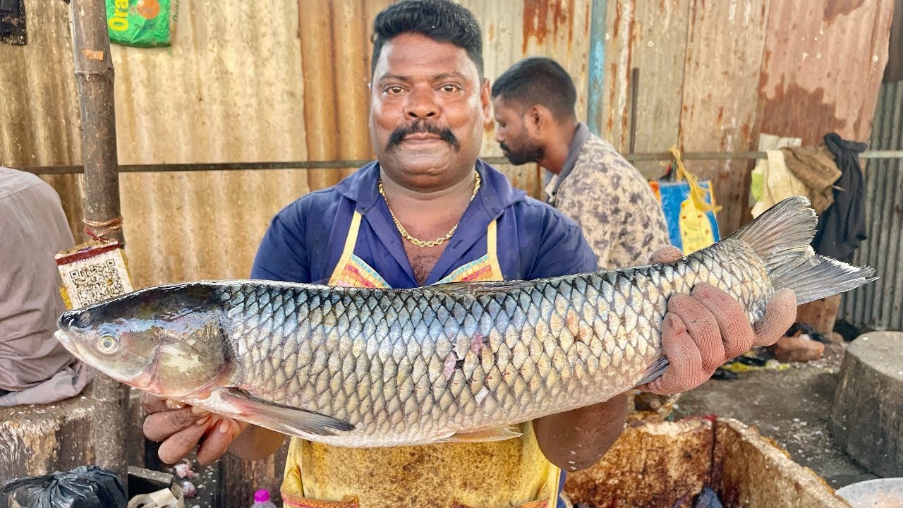 KASIMEDU🔥SPEED SELVAM KATLA FISH CUTTING🔥IN KASIMEDU FISH CUTTING 🔥