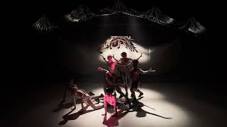 1 week tot de Nederlandse Dansdagen 2025!