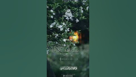 تلاوة خاشعة بصوت الشيخ عيسى المصنف حفظه الله