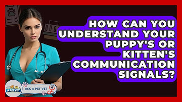 How Can You Understand Your Puppy