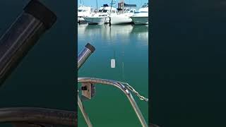 Jeanneau Rush Rafale : le but de cette chaîne est le partage!