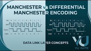 Manchester vs Differential Manchester Encoding | Data Link Layer Concepts | VU Gate