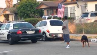 Hawthorne, California Police Kill Dog