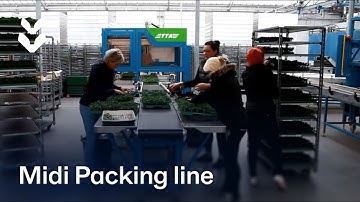 TTA-ISO MidiPacking Line - P. v.d. Haak