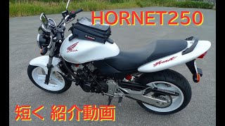 #HORNET250 #HONDA #ホーネット250 軽く紹介