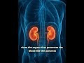 “You’re Not Sick… Your Body Is Reacting 😳”#healthmindset #wellness #naturalhealth #shorts
