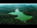 Drone footages of nature forest 4k stocks  free stock footage  no copyright  all free