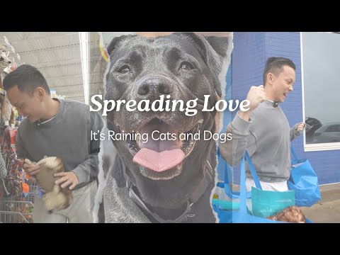 EP 4: Spreading love| It's raining cats and dogs