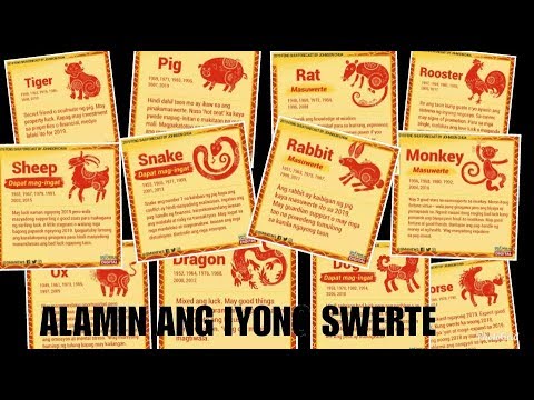 Video: Paano Ipagdiwang Ang Bagong Taon Ng Dragon