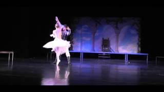 Cinderella Und Der Prinz