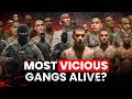 When Violence Becomes a Lifestyle — The Most Vicious Gangs Alive