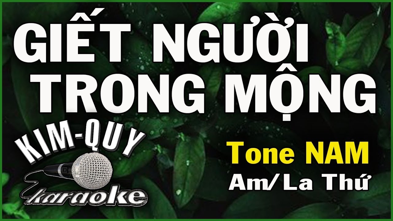 GIẾT NGƯỜI TRONG MỘNG - KARAOKE - Tone NAM ( Am/La Thứ )