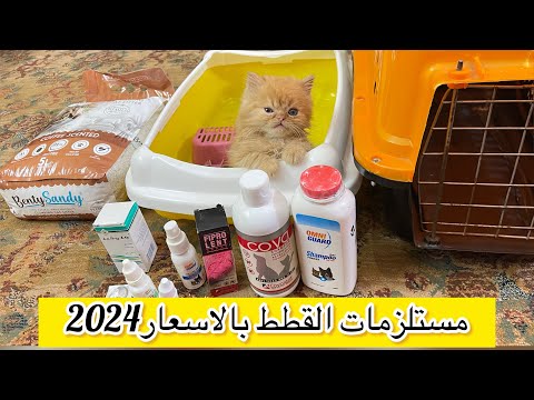بالاسعار مستلزمات القطط 2024 واستخدامتها بالتفاصيل