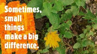 even small things make a difference | QIM 26