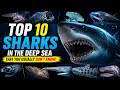 Top 10 Deep Sea Sharks You Probably Never Knew Existed! 🦈